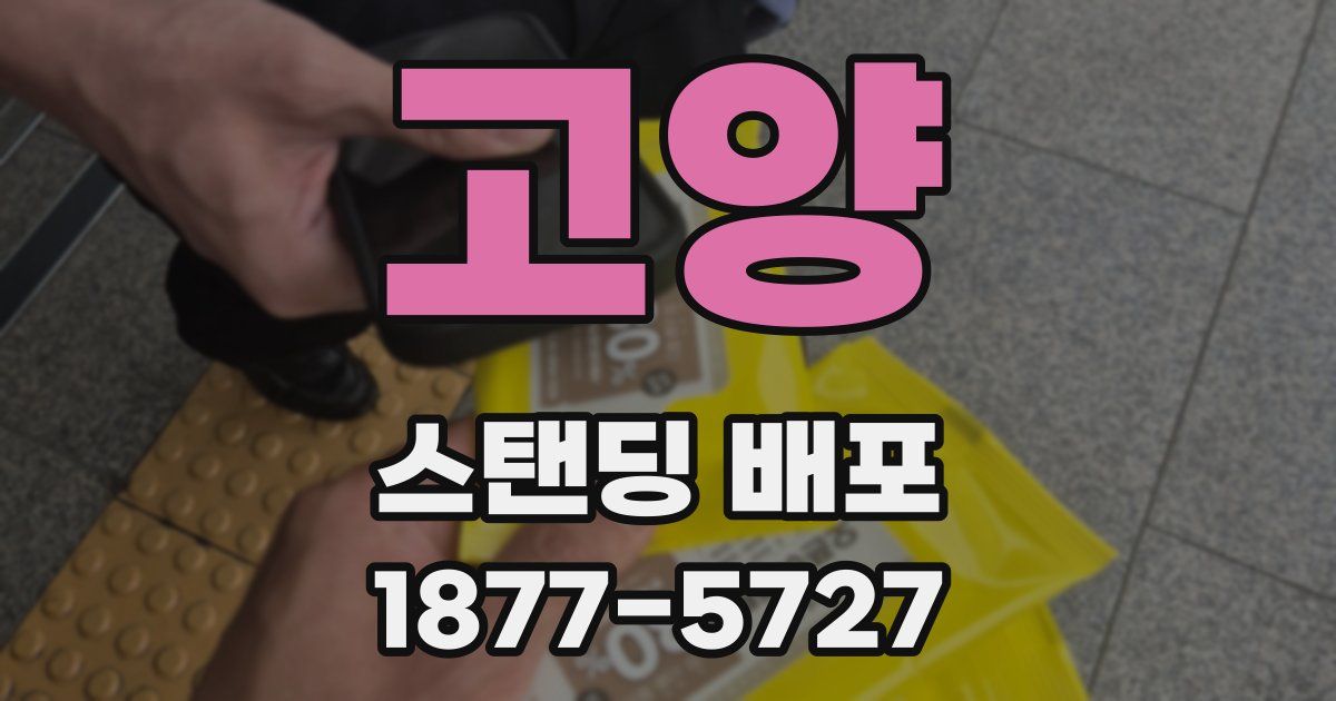 고양 스탠딩 배포