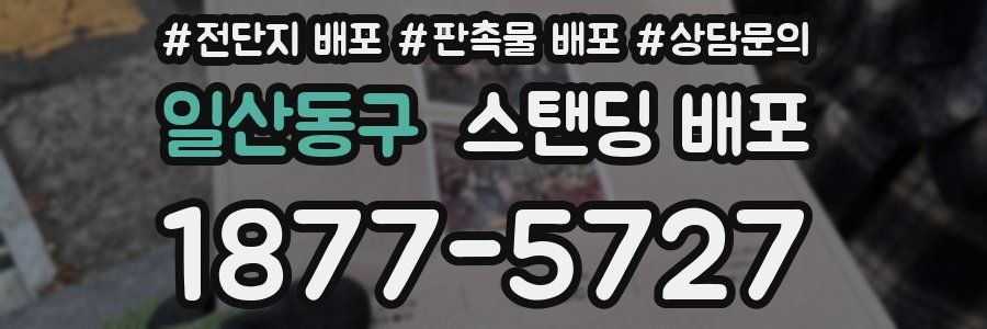 일산동구 스탠딩 배포