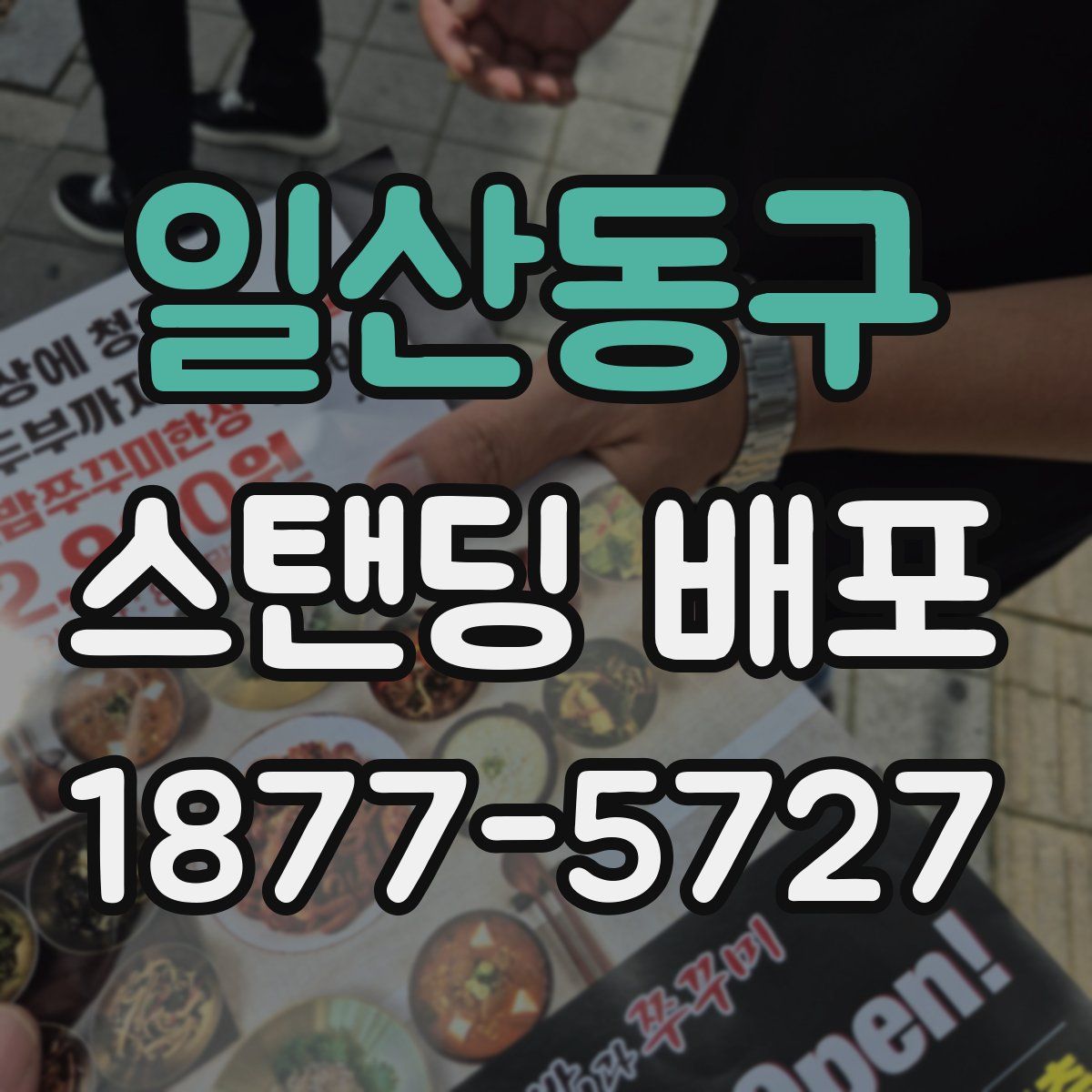일산동구 스탠딩 배포
