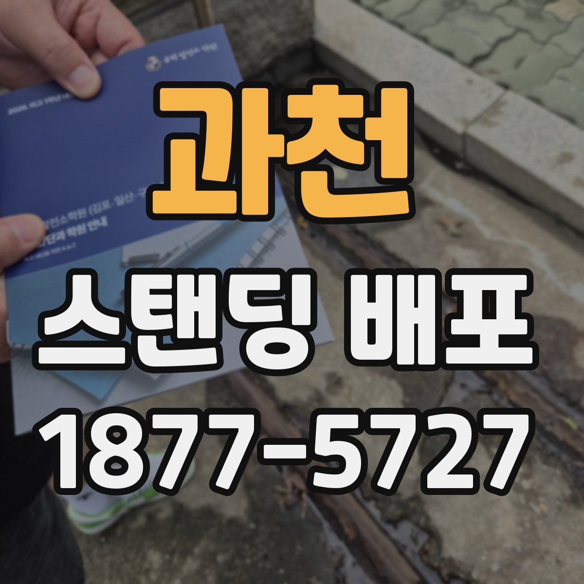 과천 스탠딩 배포