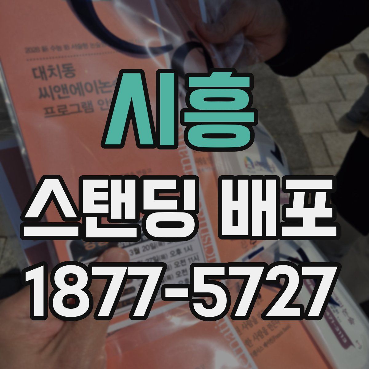 시흥 스탠딩 배포