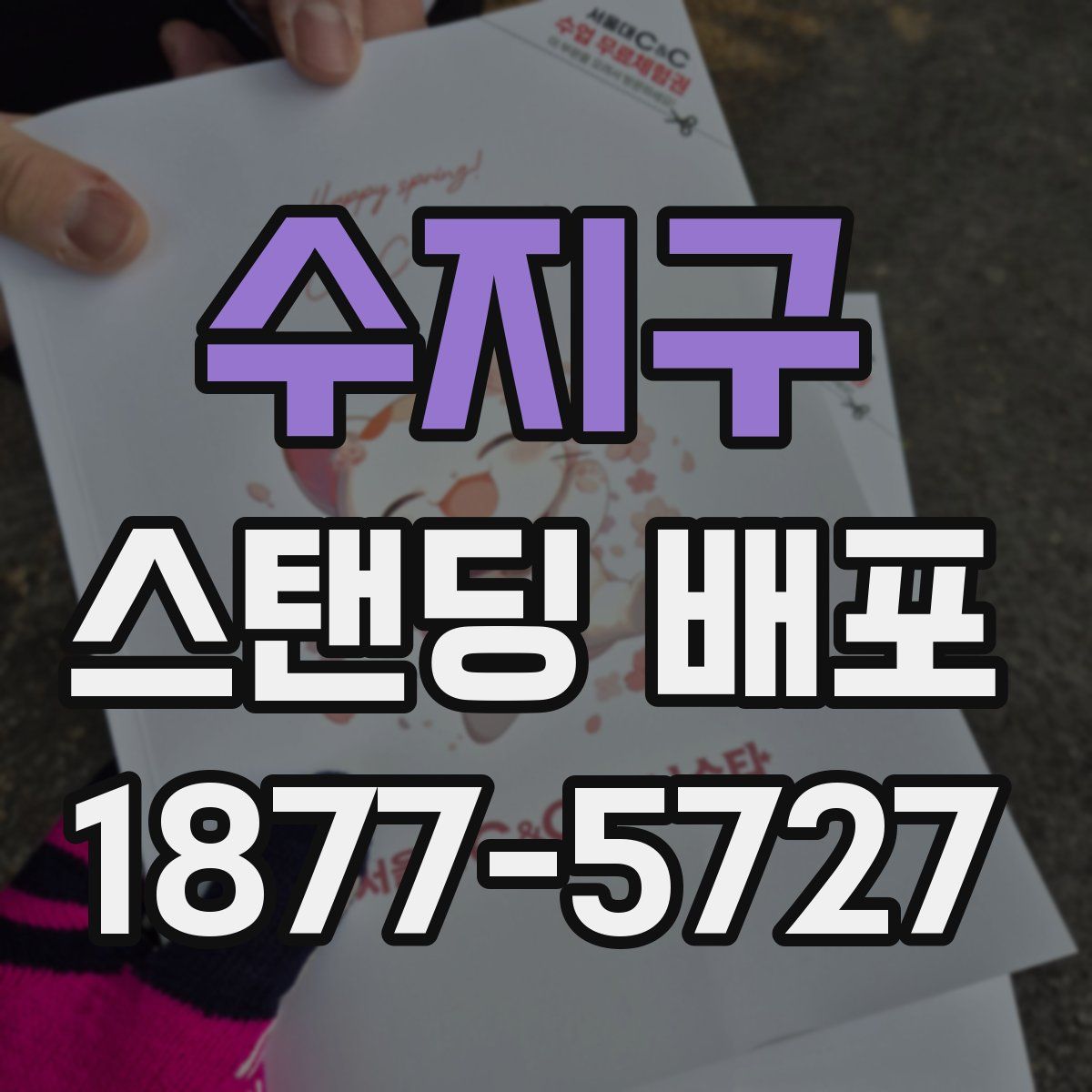 수지구 스탠딩 배포