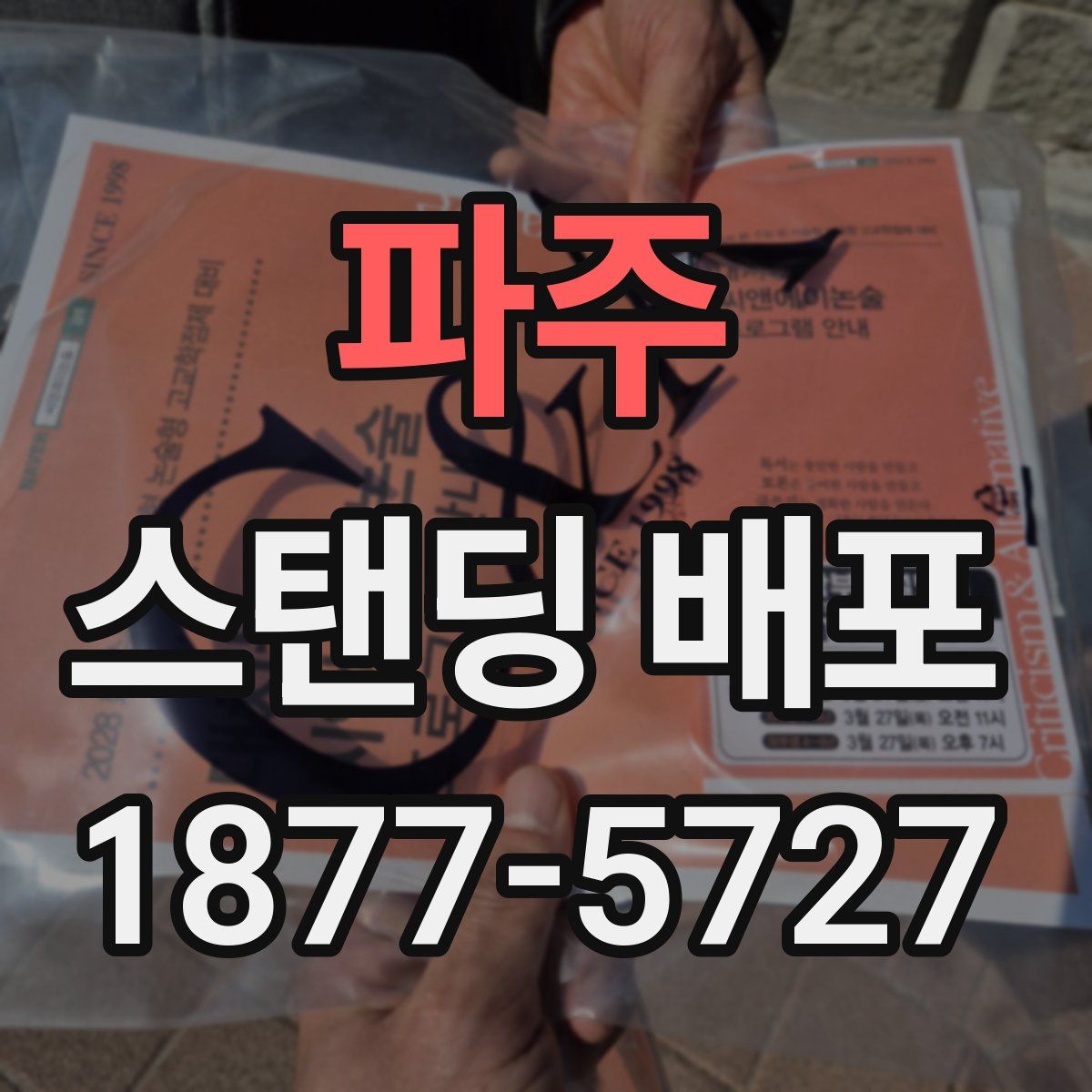 파주 스탠딩 배포