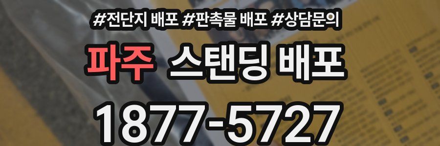 파주 스탠딩 배포