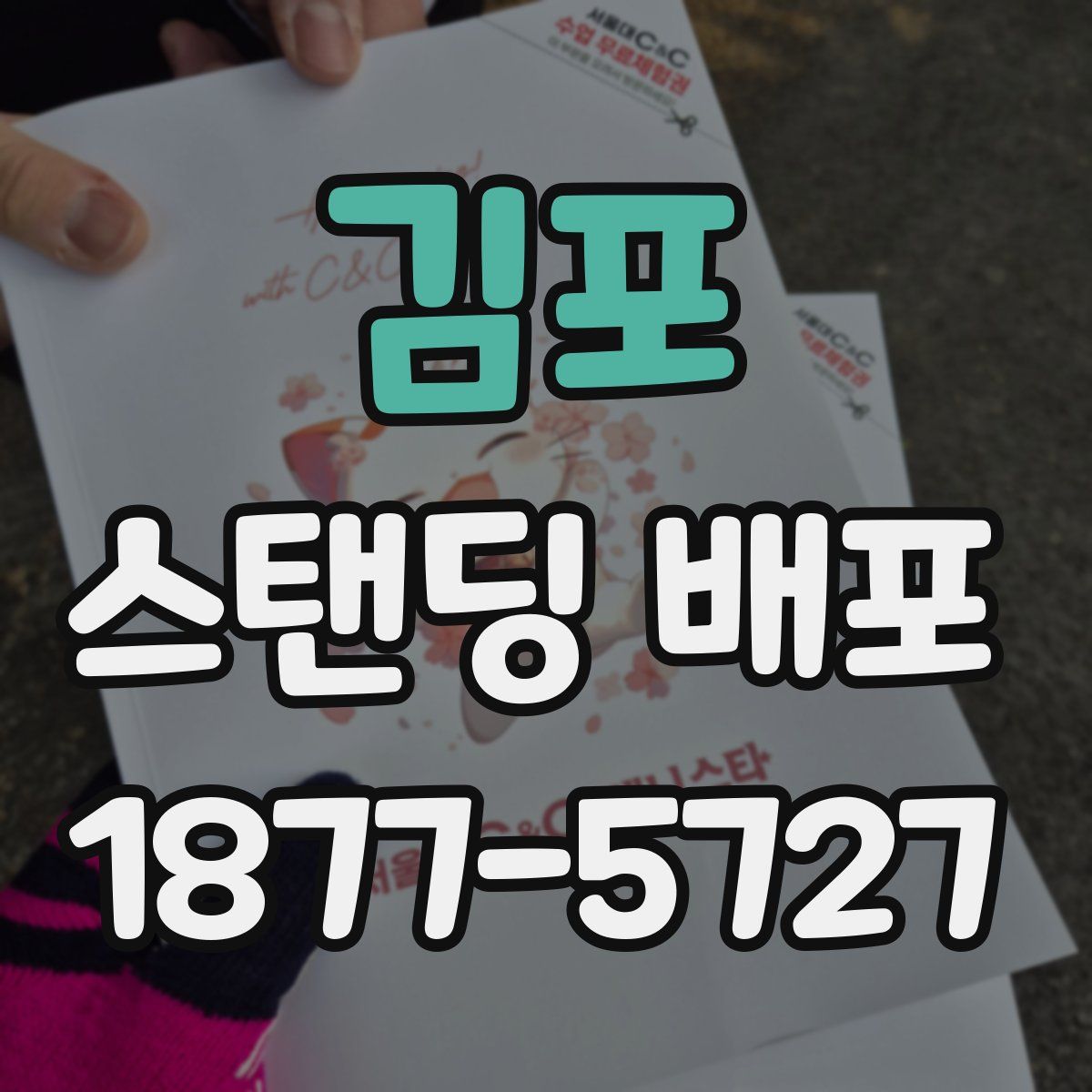 김포 스탠딩 배포
