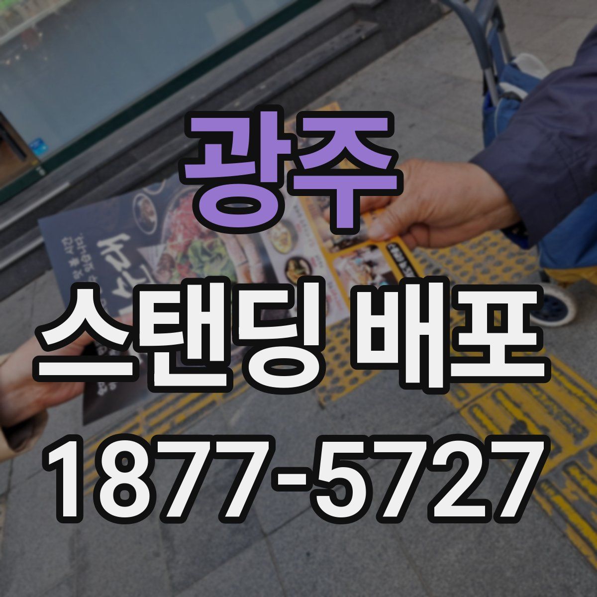 광주 스탠딩 배포