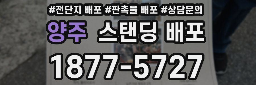 양주 스탠딩 배포