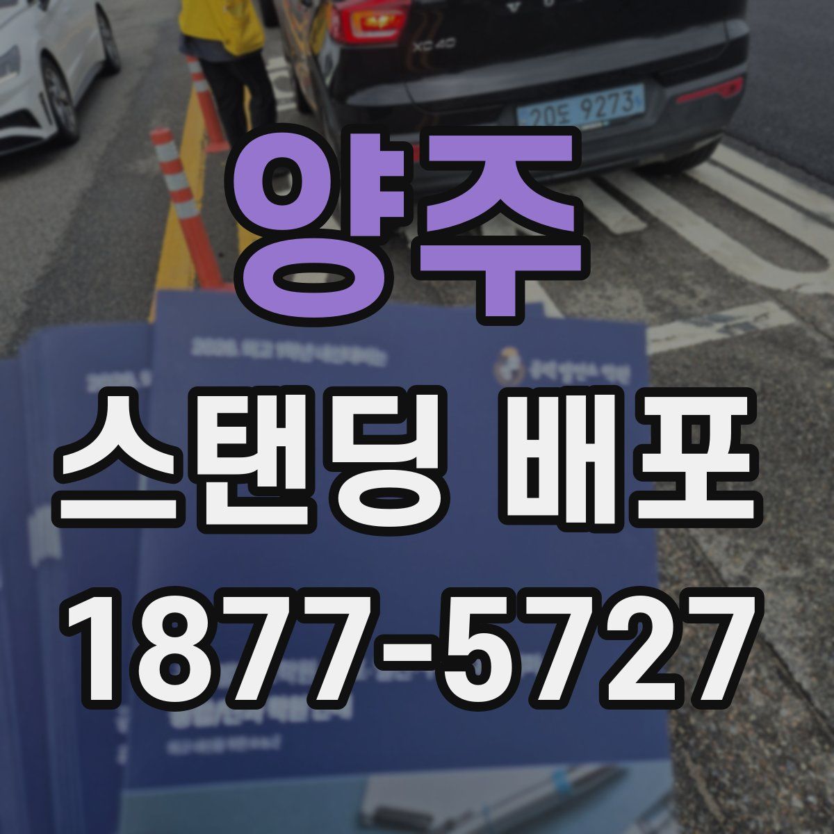 양주 스탠딩 배포