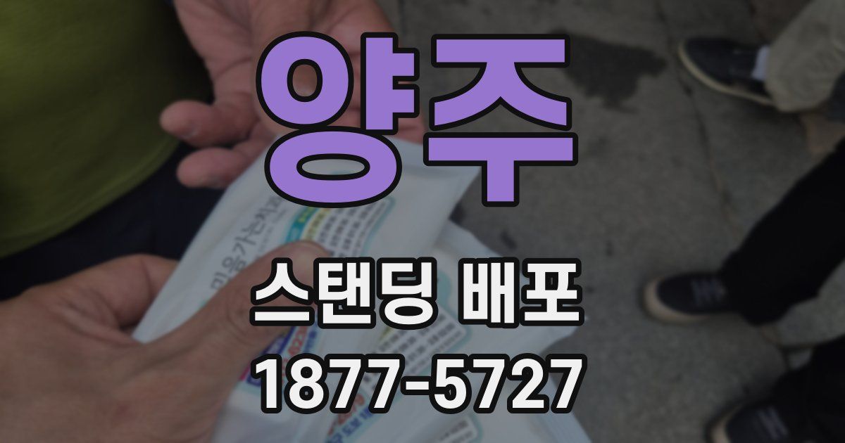 양주 스탠딩 배포