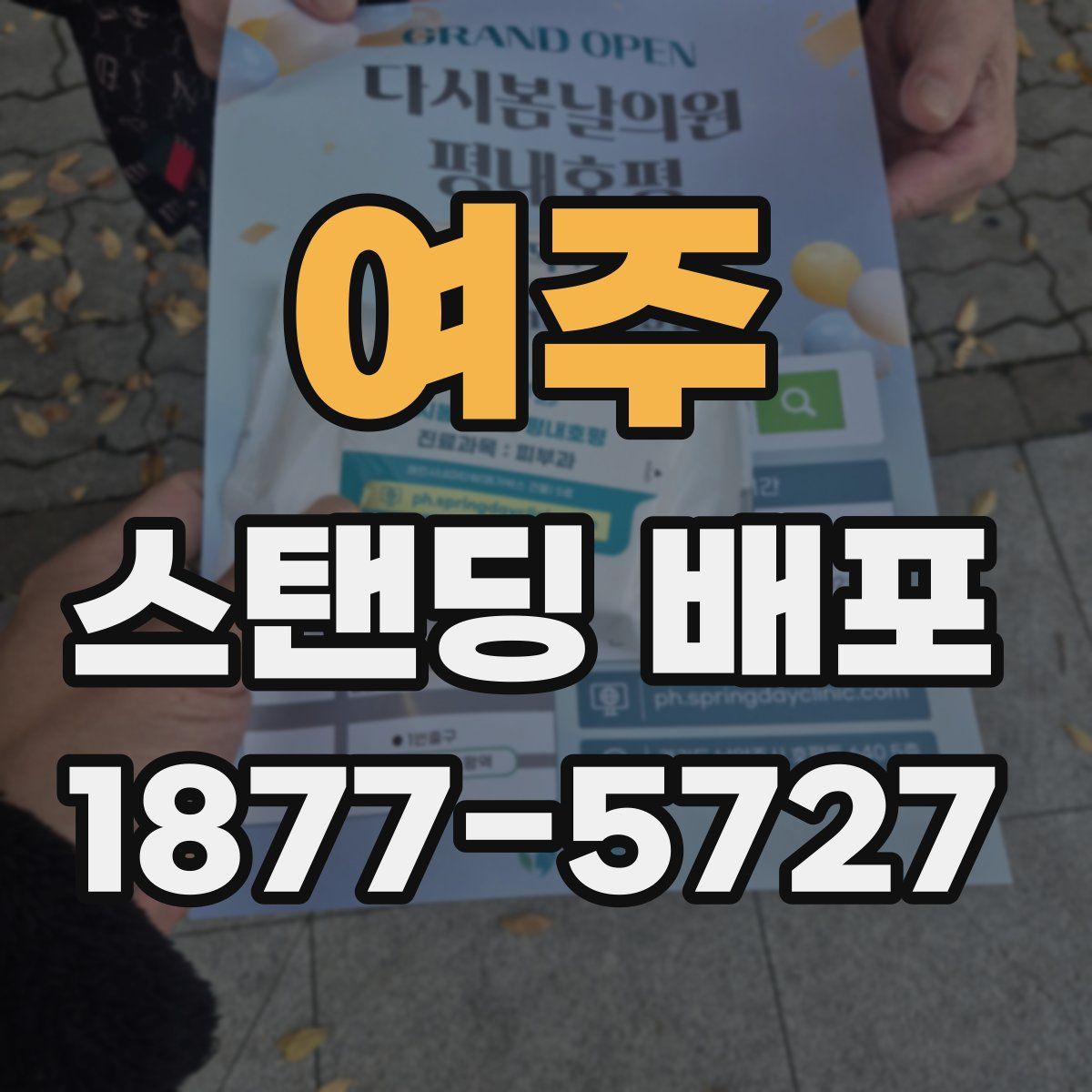 여주 스탠딩 배포