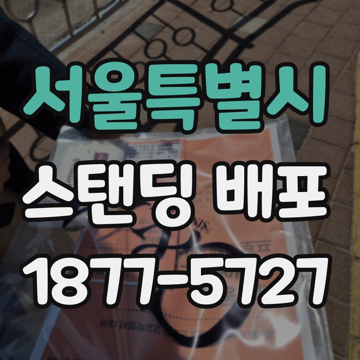 서울특별시 스탠딩 배포