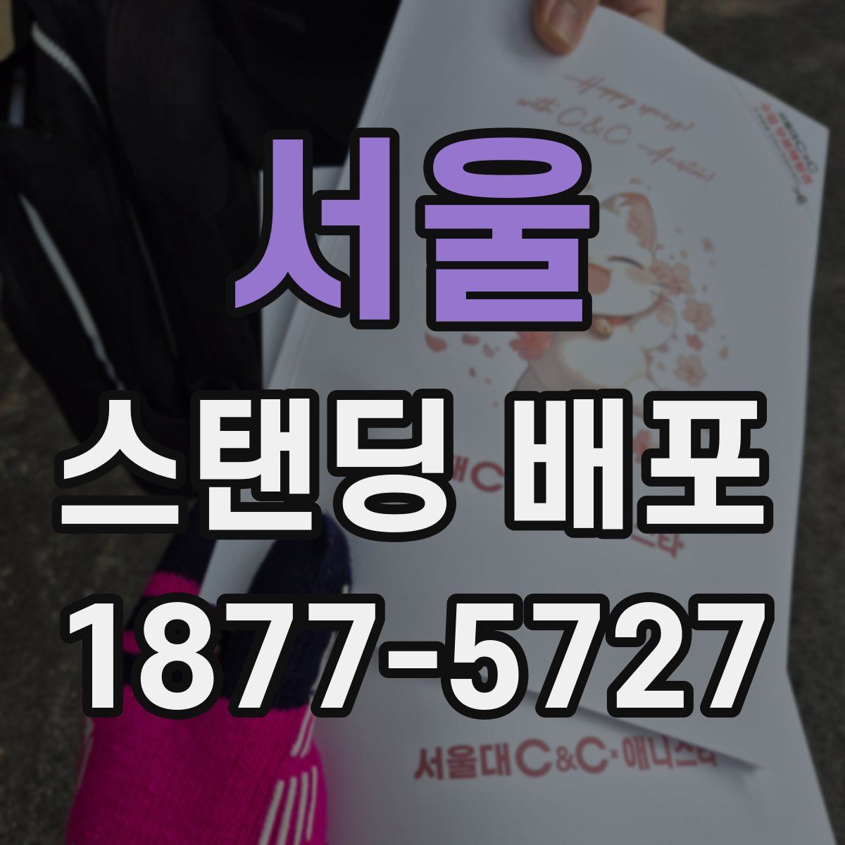 서울 스탠딩 배포