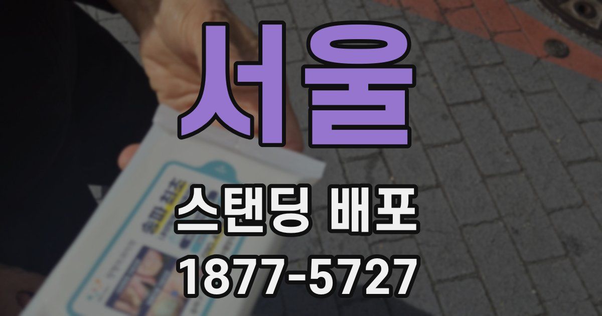 서울 스탠딩 배포