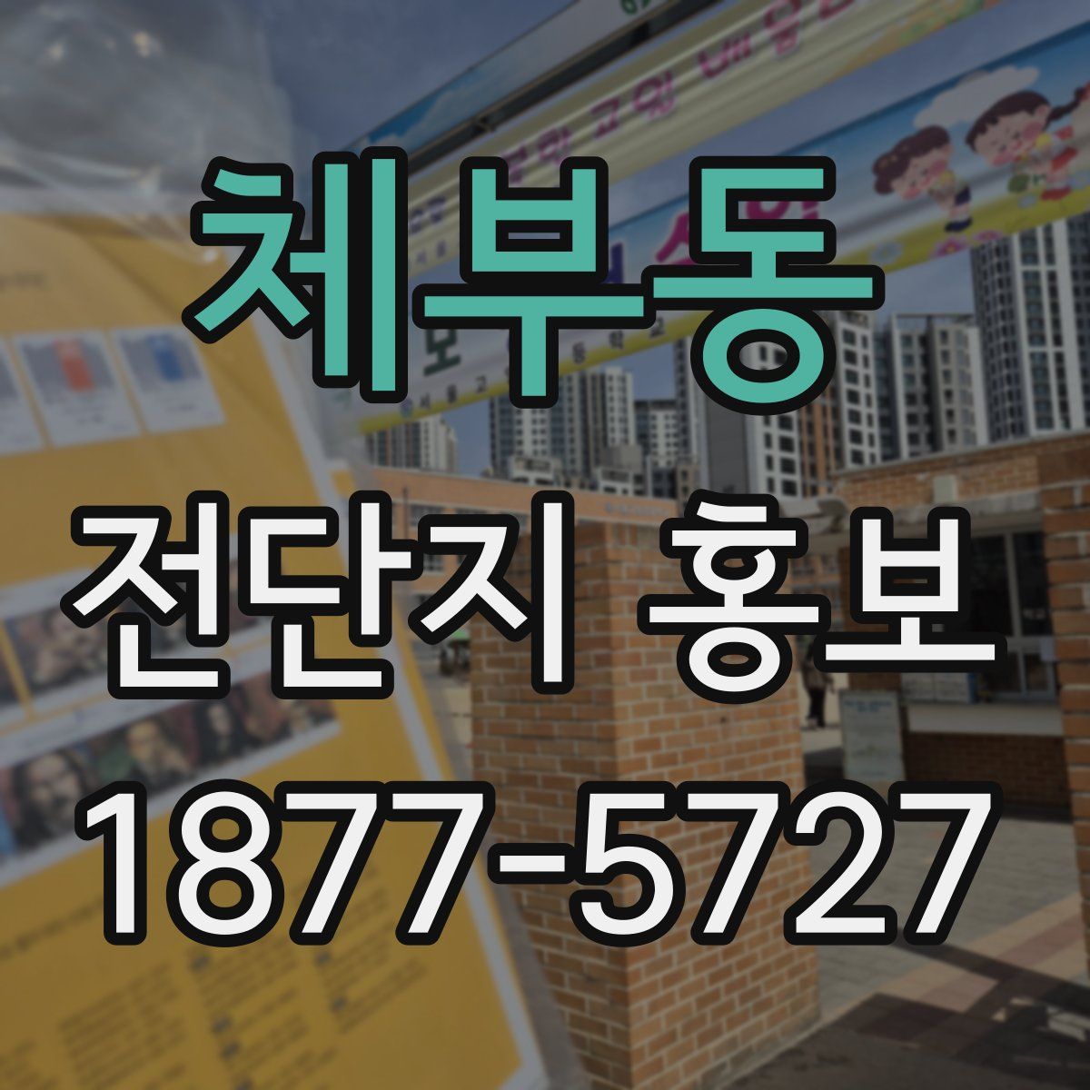 체부동 전단지 홍보