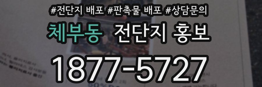 체부동 전단지 홍보