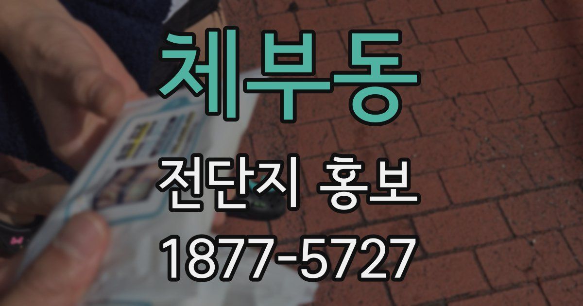 체부동 전단지 홍보