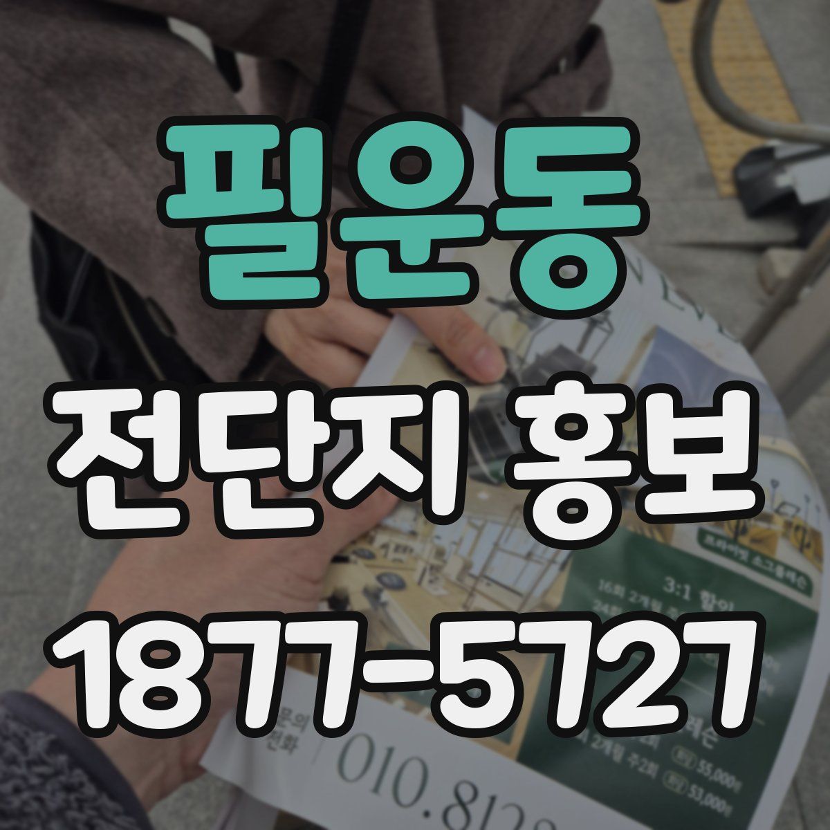필운동 전단지 홍보