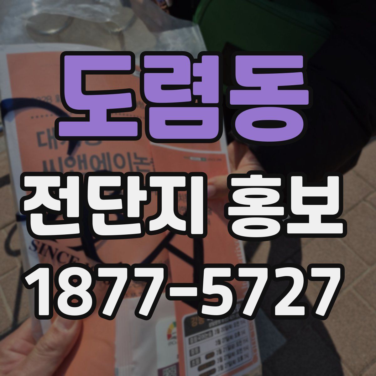 도렴동 전단지 홍보