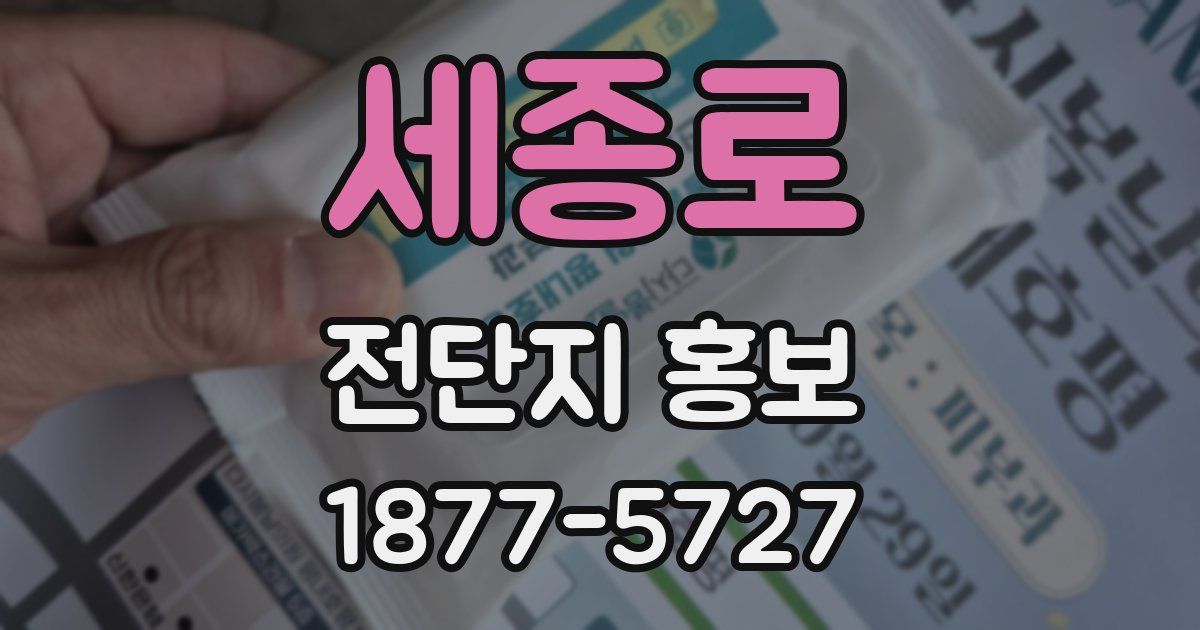 세종로 전단지 홍보