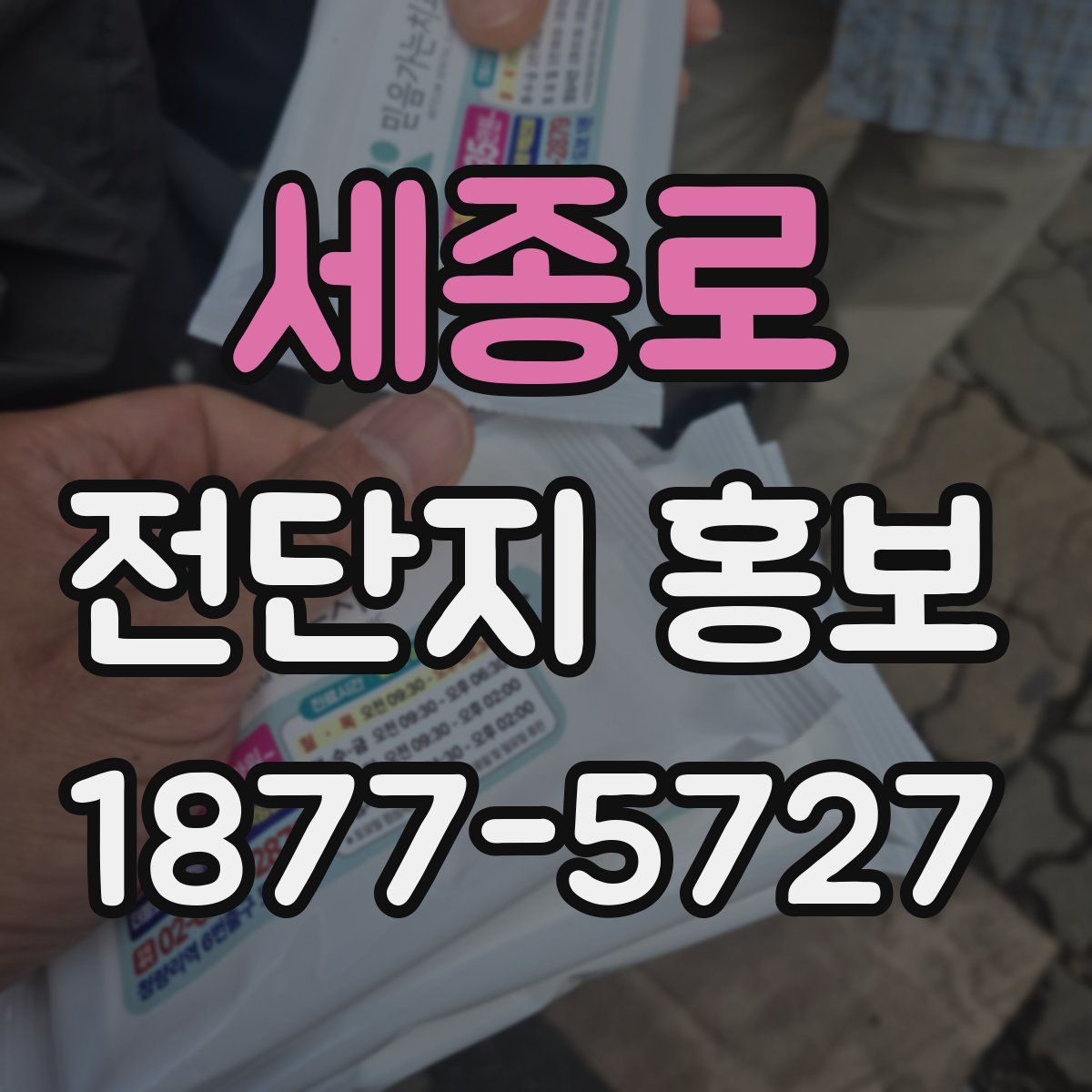 세종로 전단지 홍보