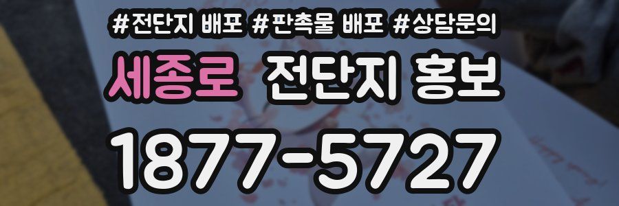 세종로 전단지 홍보