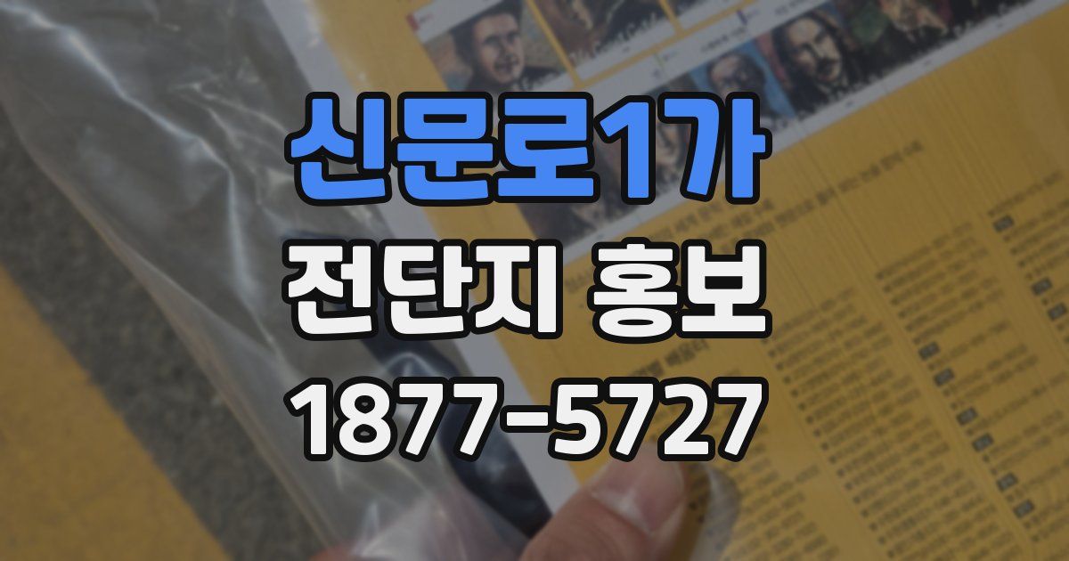 신문로1가 전단지 홍보