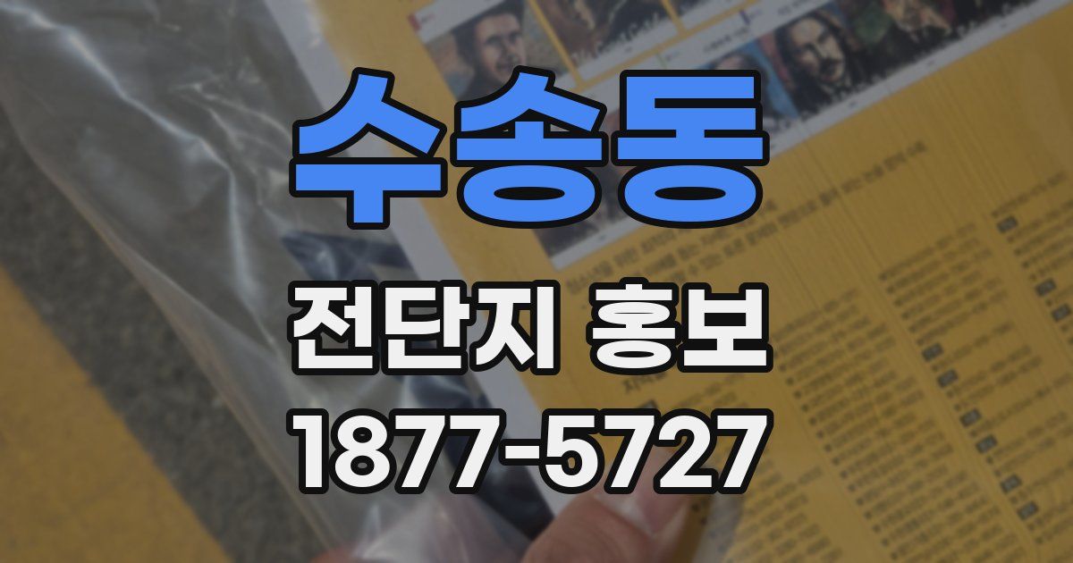 수송동 전단지 홍보