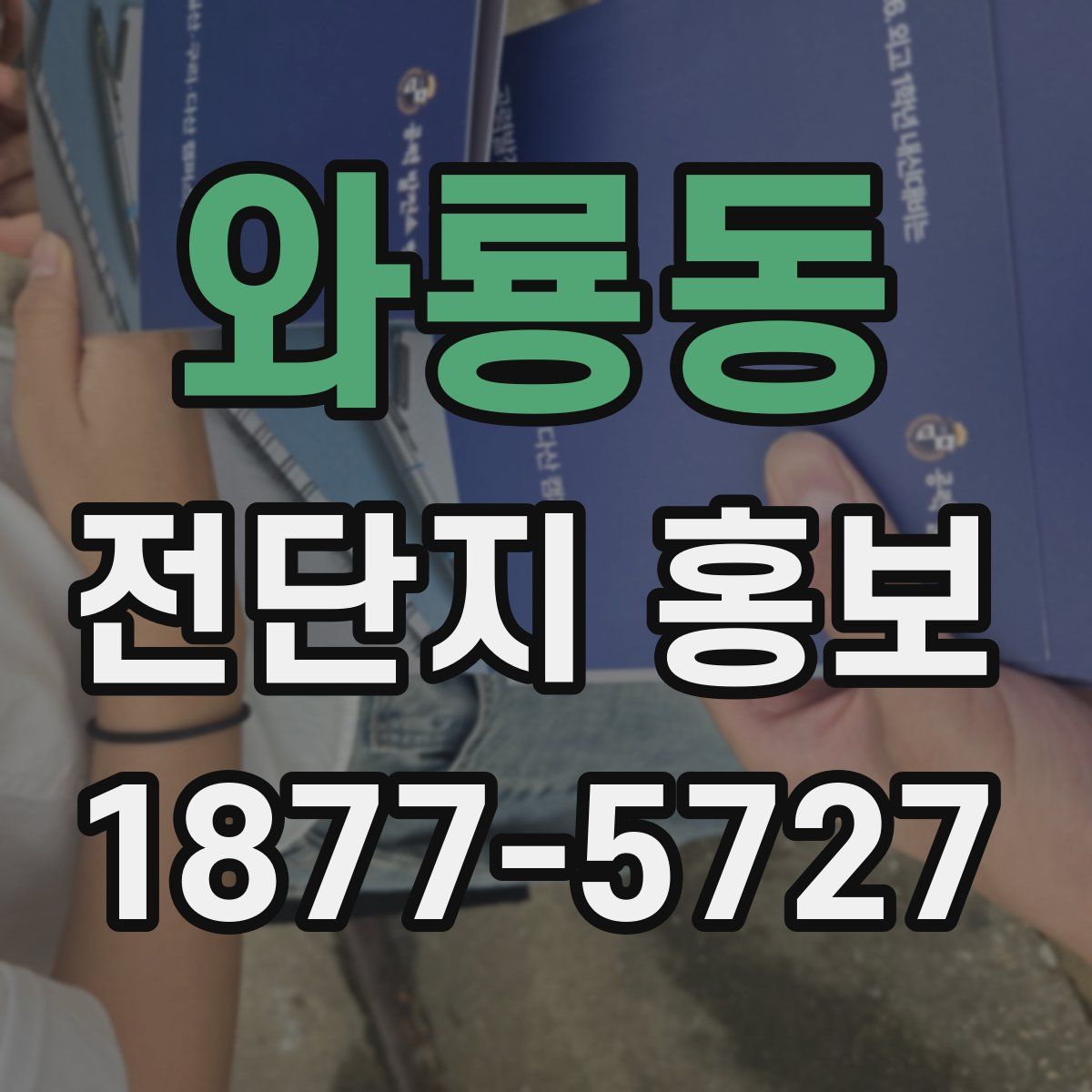 와룡동 전단지 홍보
