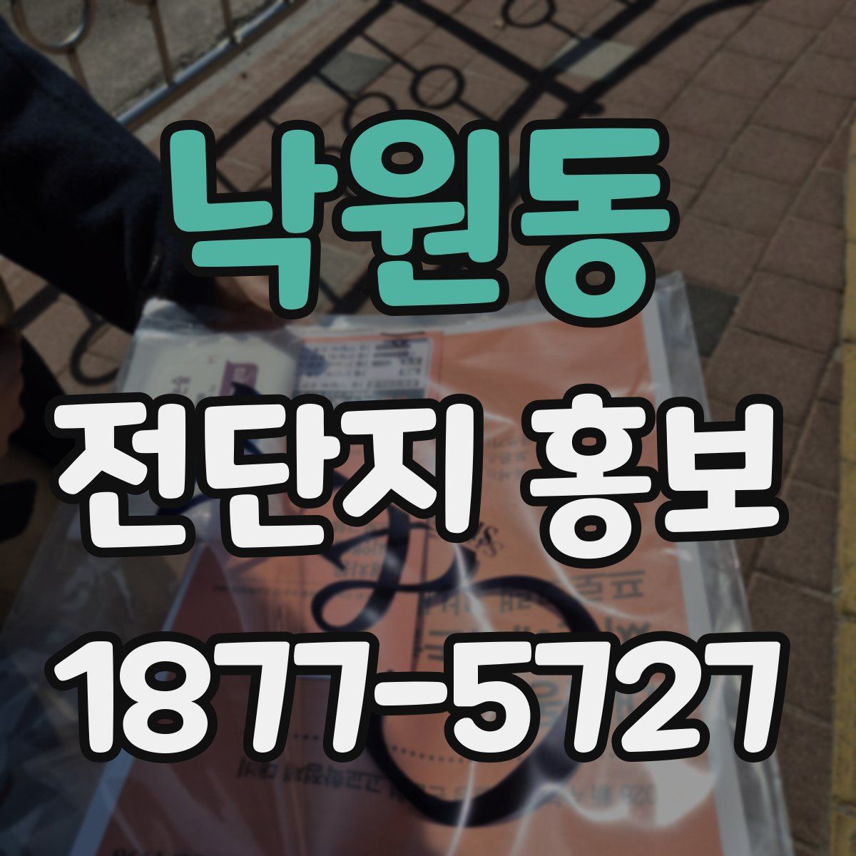 낙원동 전단지 홍보