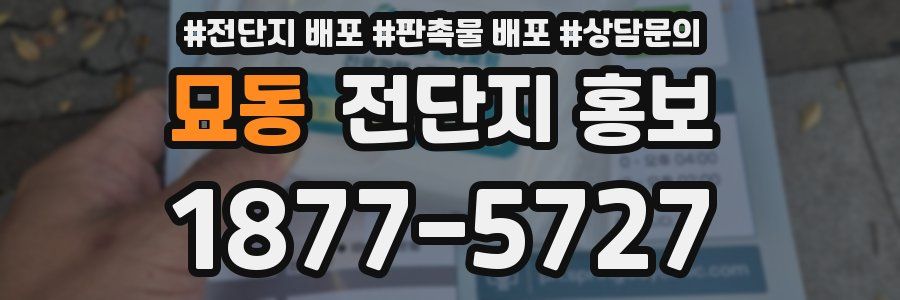 묘동 전단지 홍보