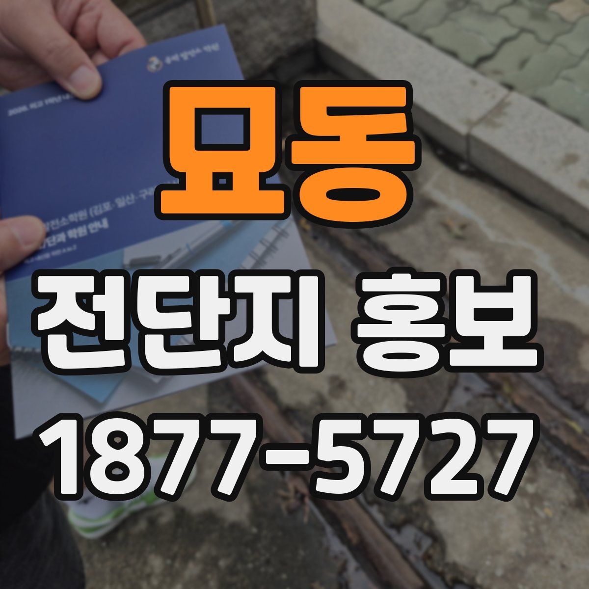 묘동 전단지 홍보