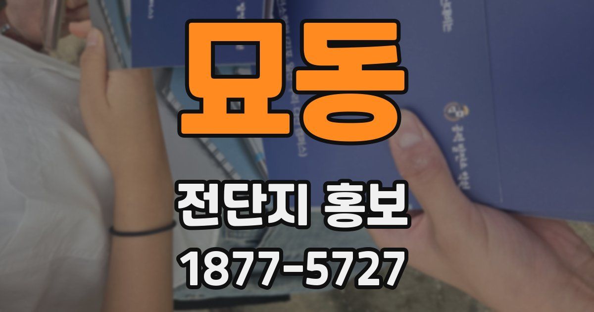 묘동 전단지 홍보