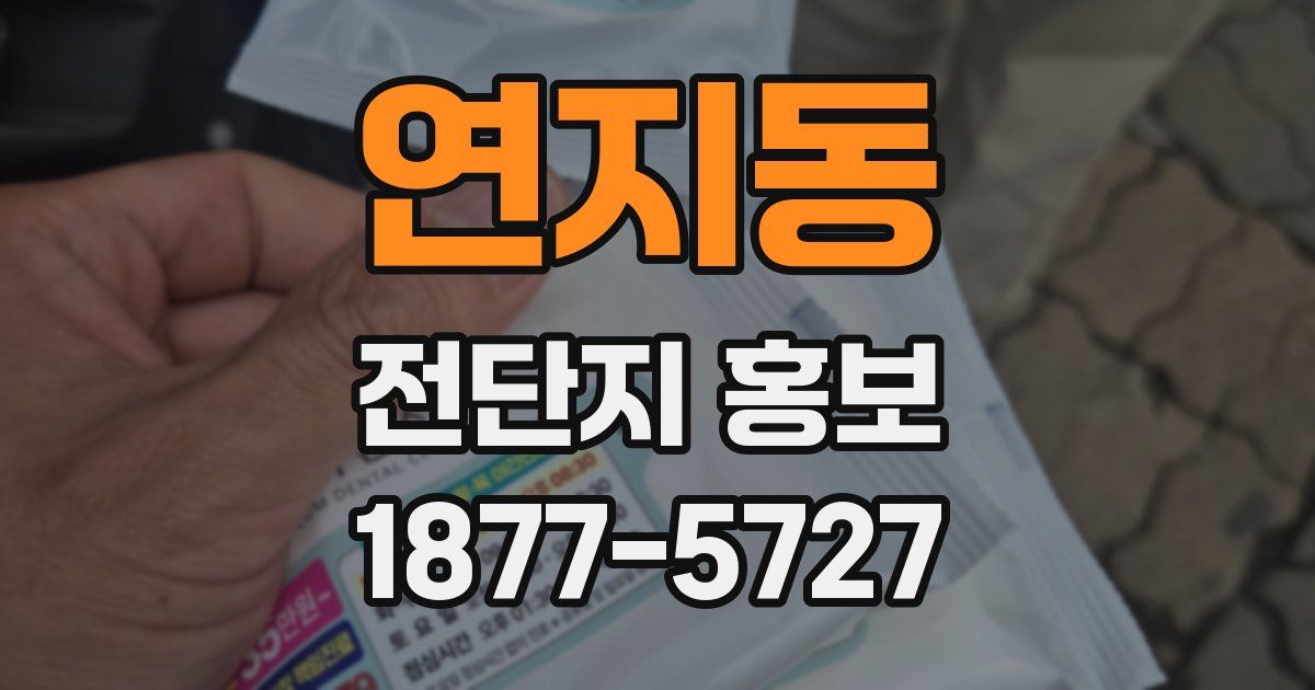 연지동 전단지 홍보