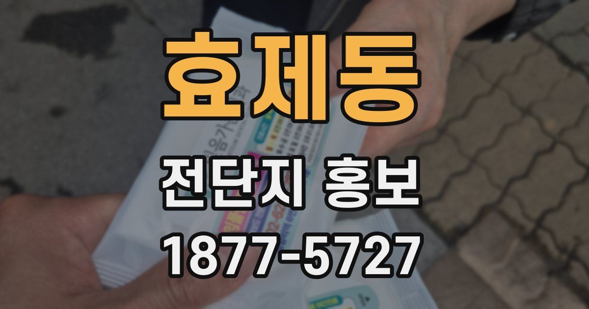 효제동 전단지 홍보