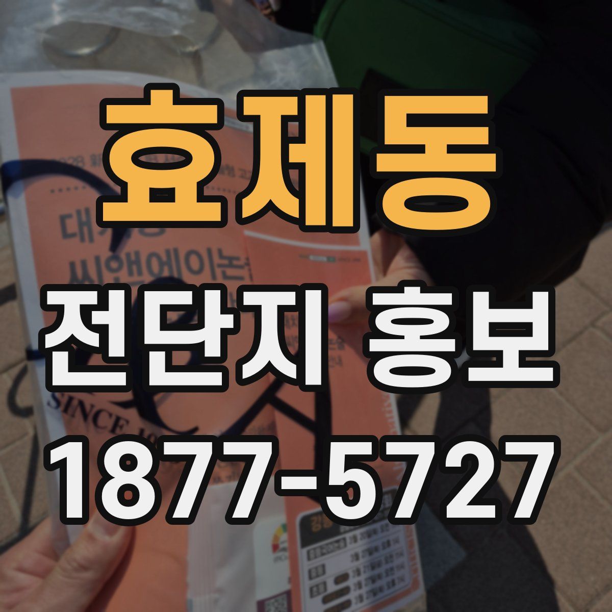 효제동 전단지 홍보