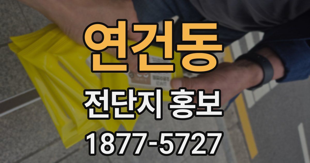 연건동 전단지 홍보