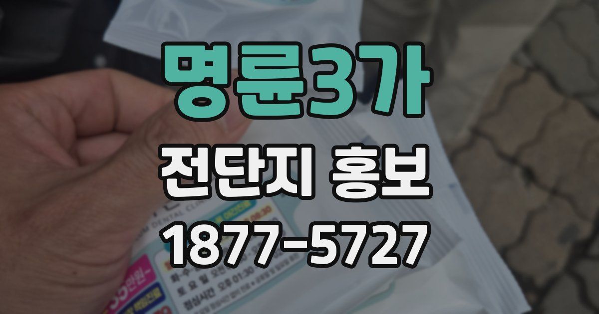 명륜3가 전단지 홍보