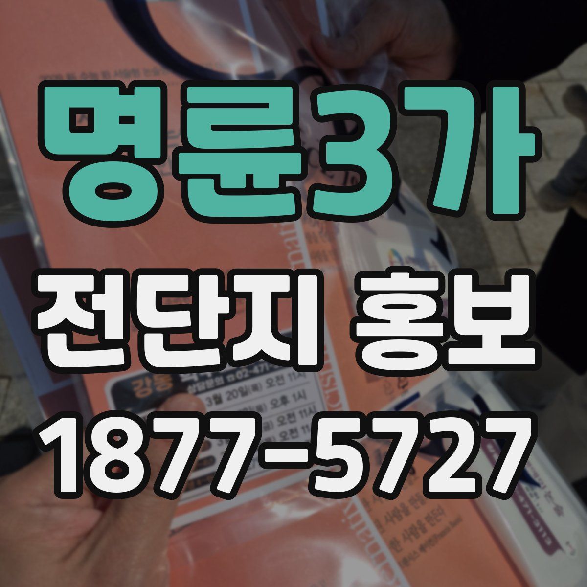 명륜3가 전단지 홍보