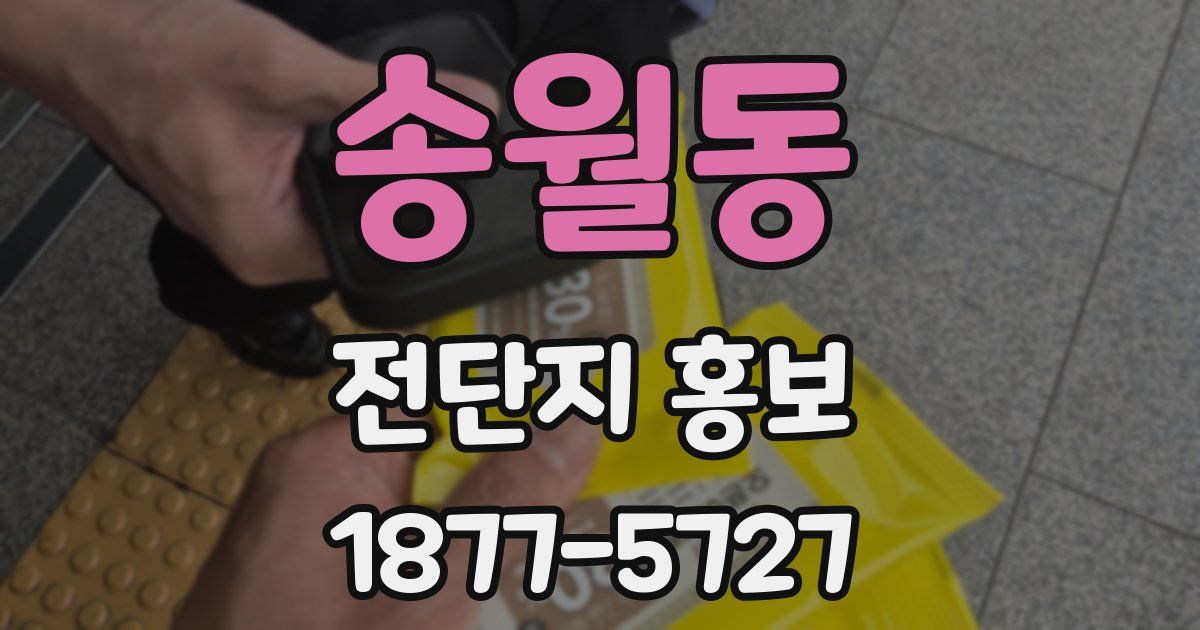 송월동 전단지 홍보