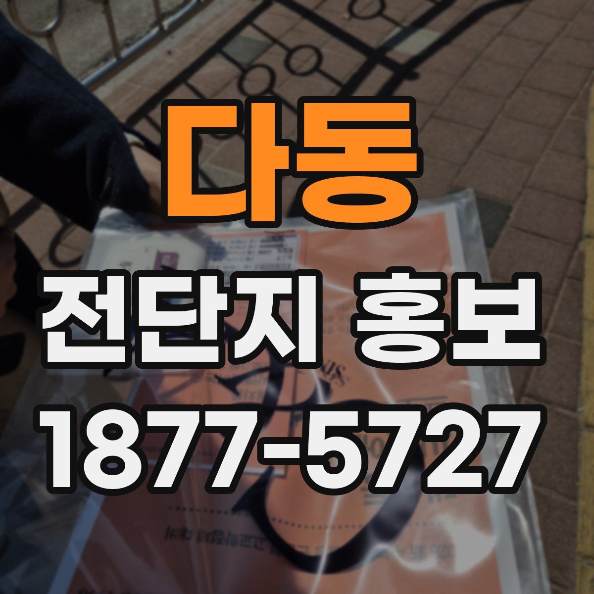 다동 전단지 홍보