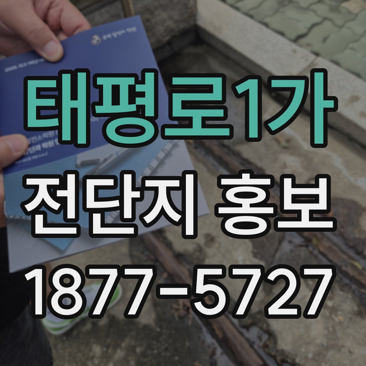태평로1가 전단지 홍보