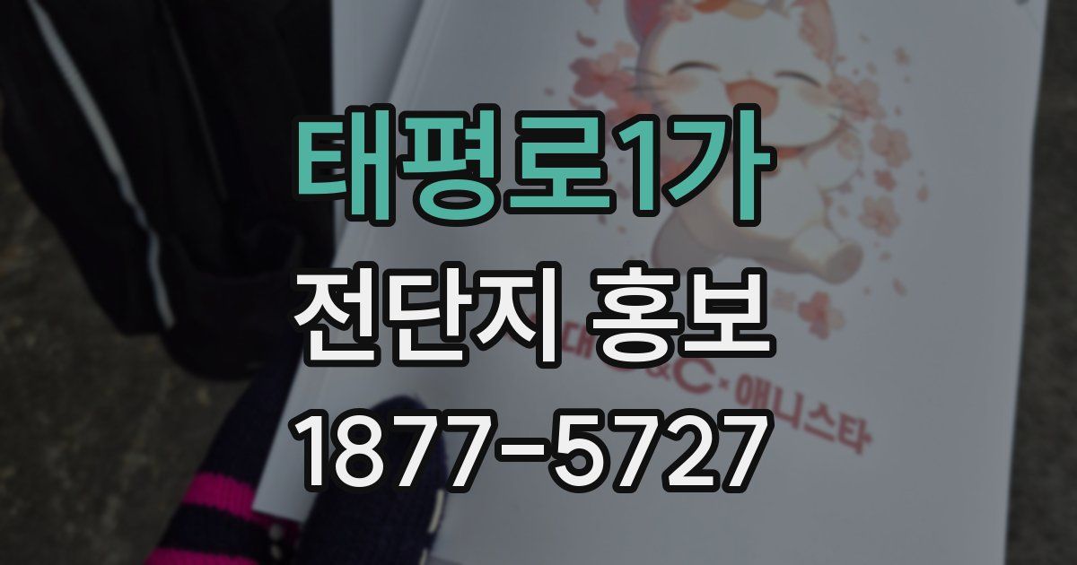 태평로1가 전단지 홍보