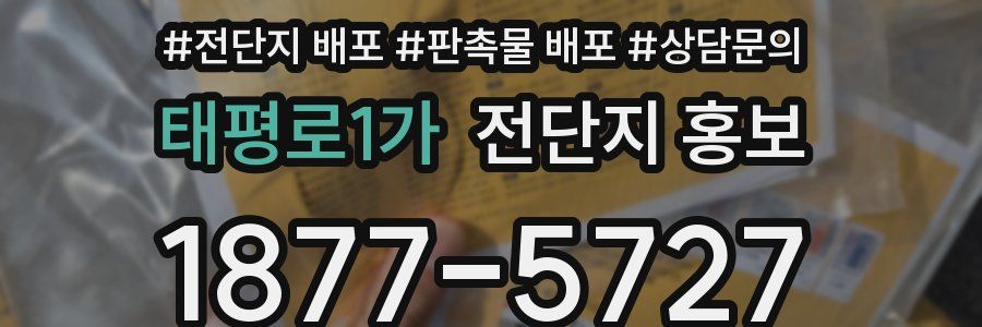 태평로1가 전단지 홍보