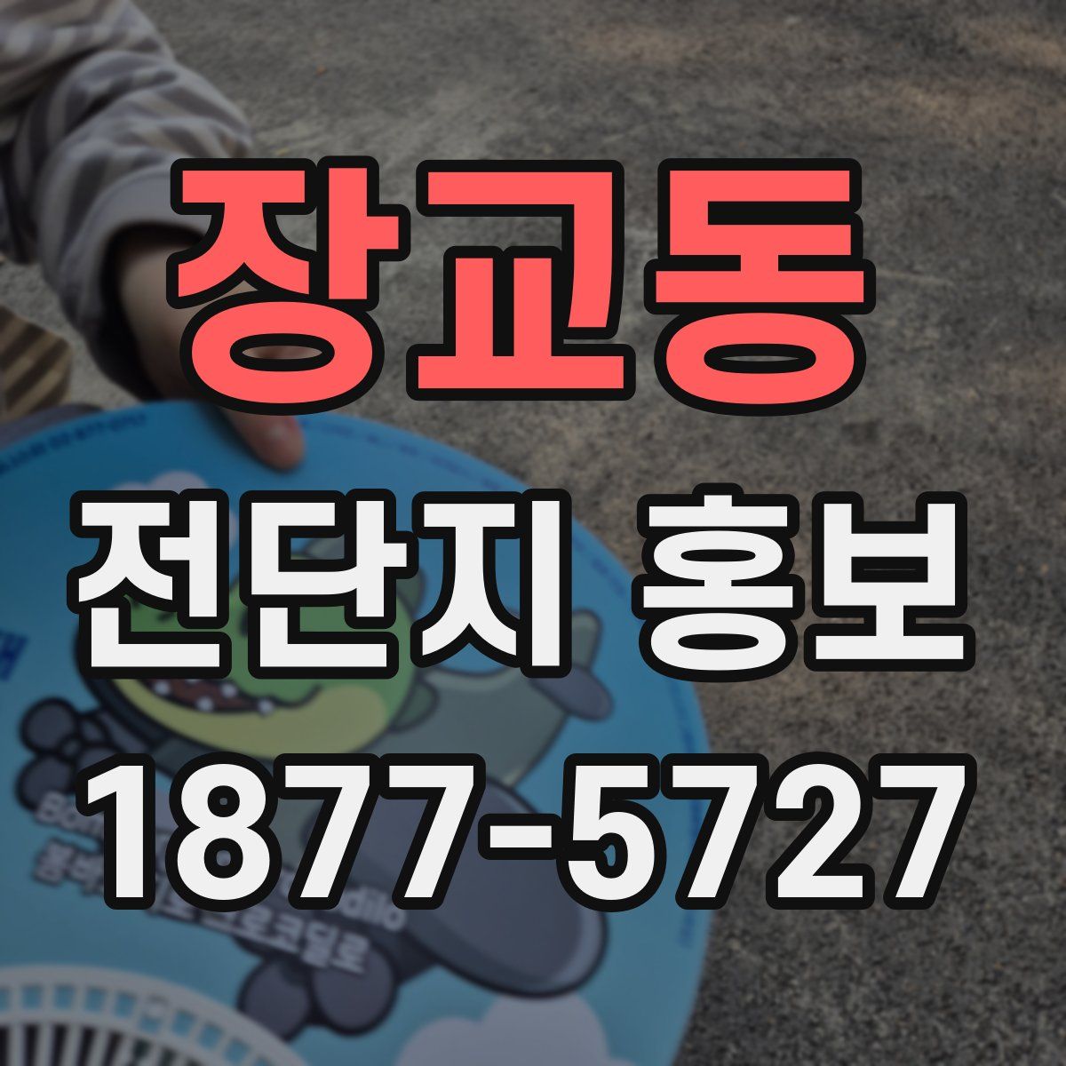 장교동 전단지 홍보