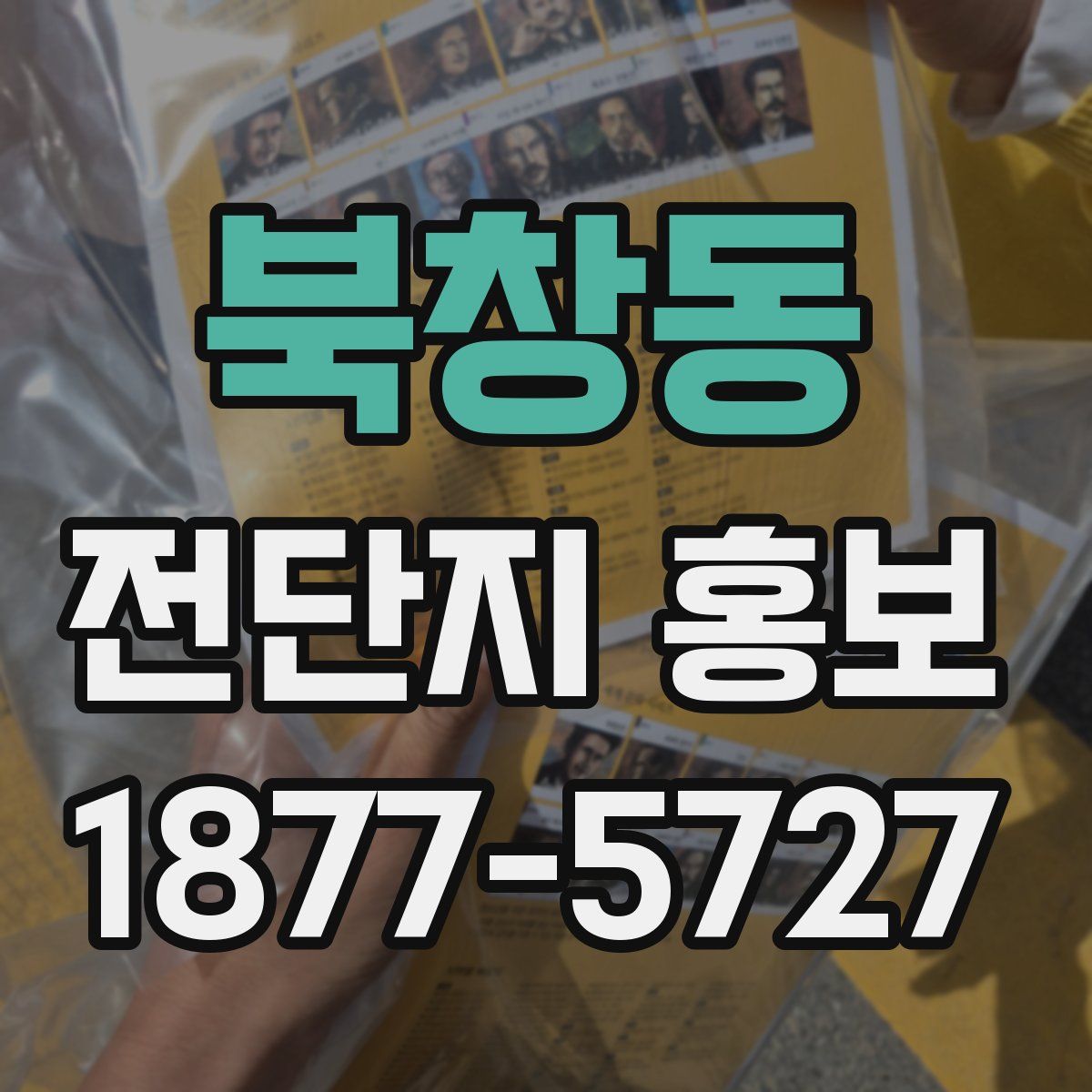 북창동 전단지 홍보
