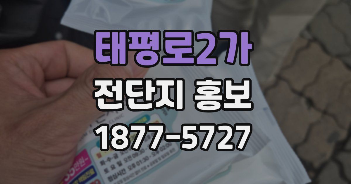 태평로2가 전단지 홍보