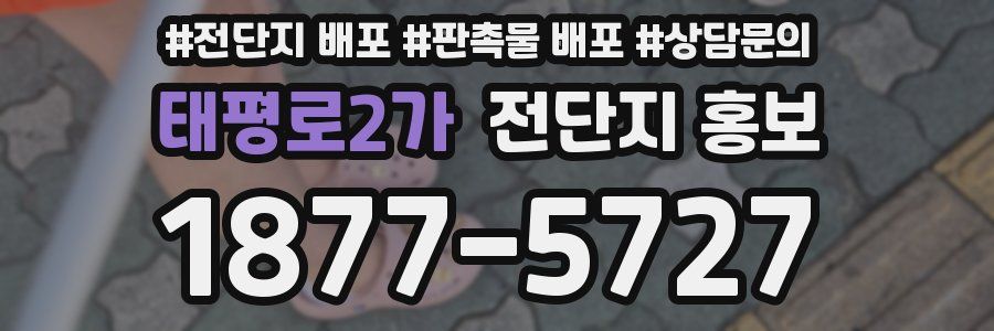 태평로2가 전단지 홍보