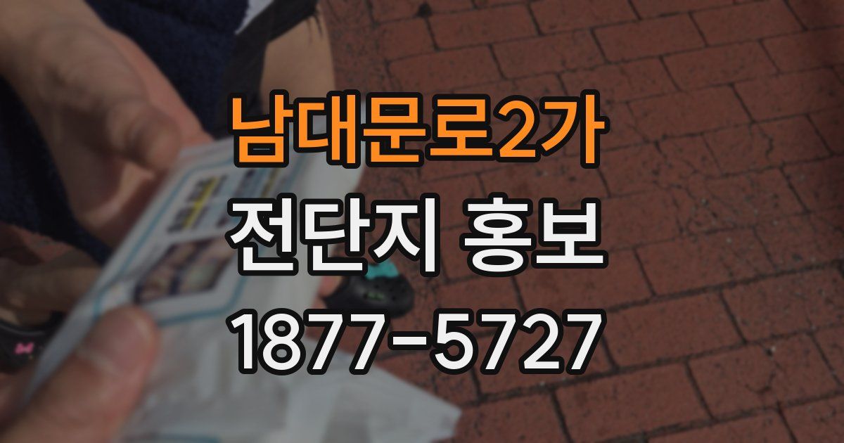 남대문로2가 전단지 홍보