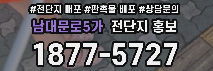 남대문로5가 전단지 홍보