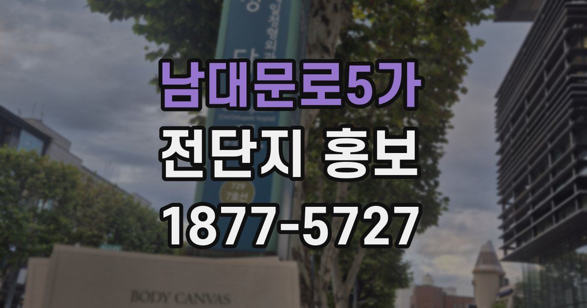 남대문로5가 전단지 홍보